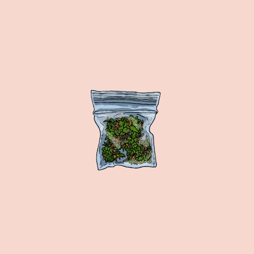 Z i p l o c  *FREE DOWNLOAD*