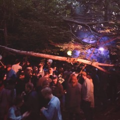 DachüberKopf 8.6.2019