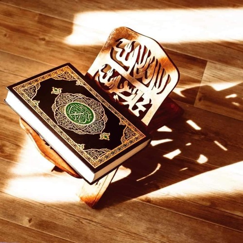 تلاوة رائعة سورة الأنفال - د. ياسر أبو رحاب
