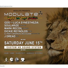 Modulate Promo Mix - Soularize