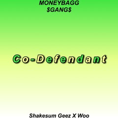 Shakesum Geez x Woo - Co-Defendant
