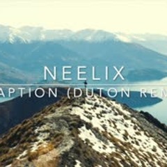 Neelix - Adaption (Duton Remix)