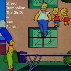 Shaed - Trampoline (ThatGirlDJ & Juvi Remix)
