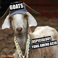 GOATS (FEAT. YUNG AMINO ACID)