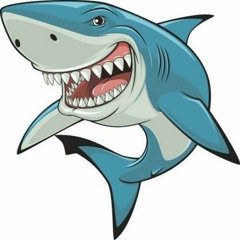 Namo - Shark Bait