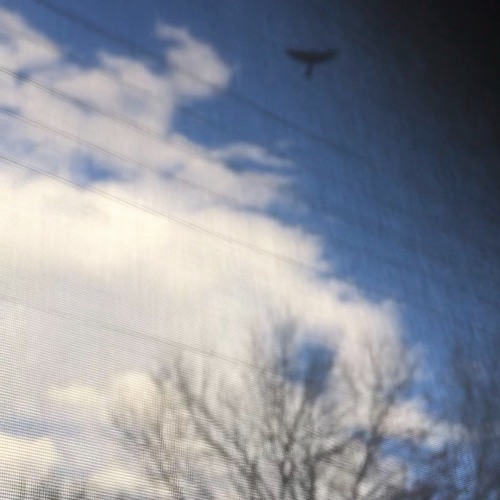 Stream Garden by Archie Lane | Listen online for free on SoundCloud