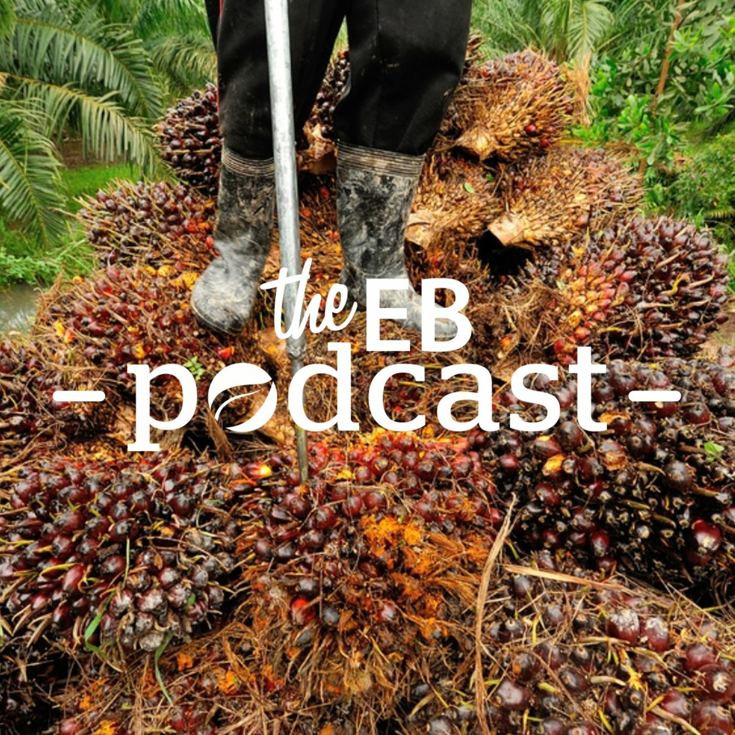 Eco-Business Podcast