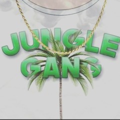 Kid savage-see me ft.c note haydn & amethyst l