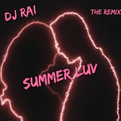 Dj Rai ft Mickey Singh - Summer Luv (The ReMix)