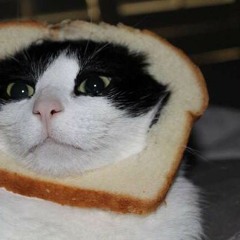 You Know Sometimes I Think