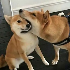 So Basically Dog Eat Dog Oliverse Remix