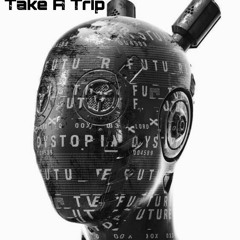 Take A Trip(Shamanica Records & Hologram)