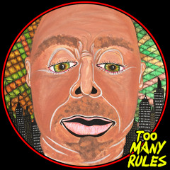 DJ Sneak - Rising (Original Mix) [Too Many Rules] [MI4L.com]