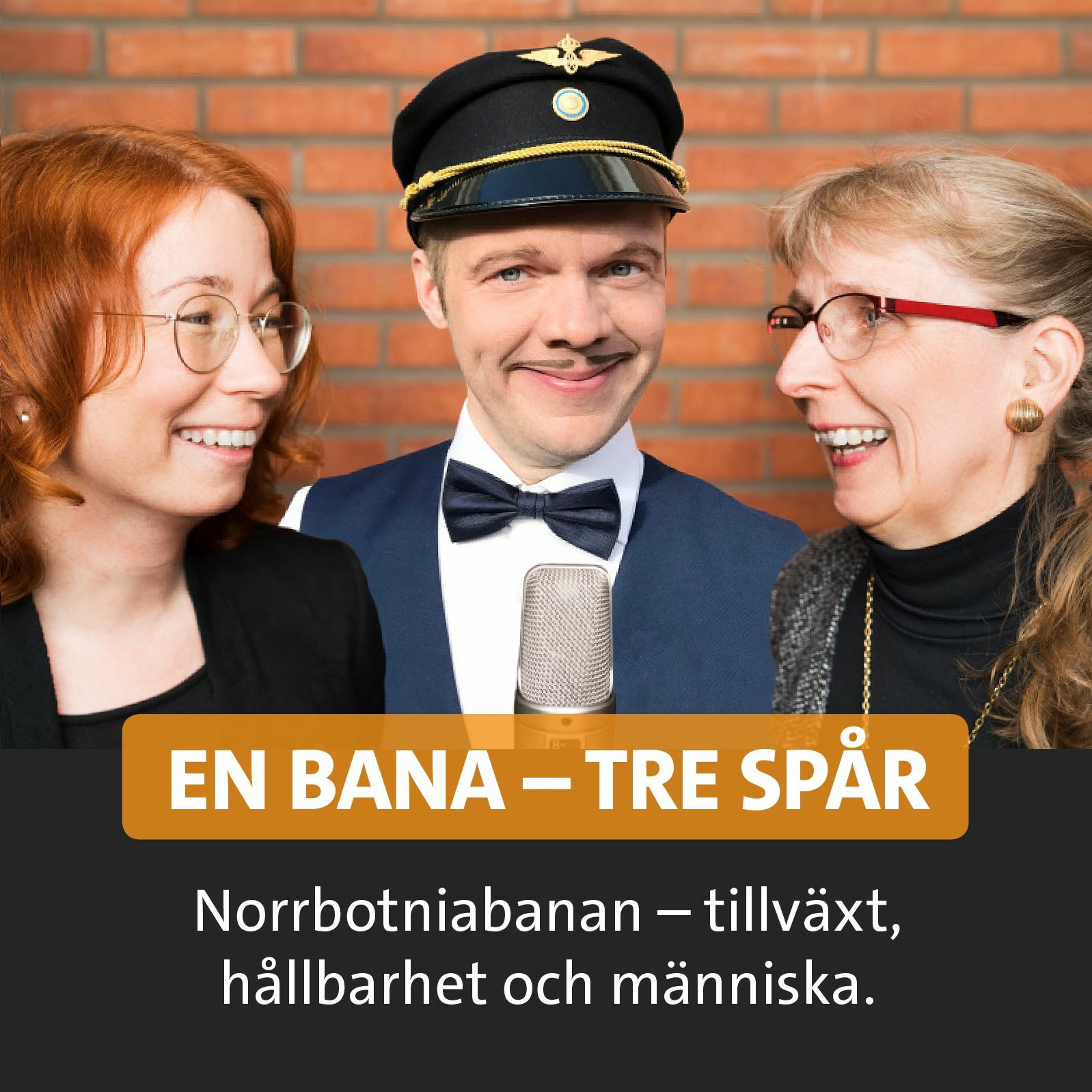 Norrbotniabanan