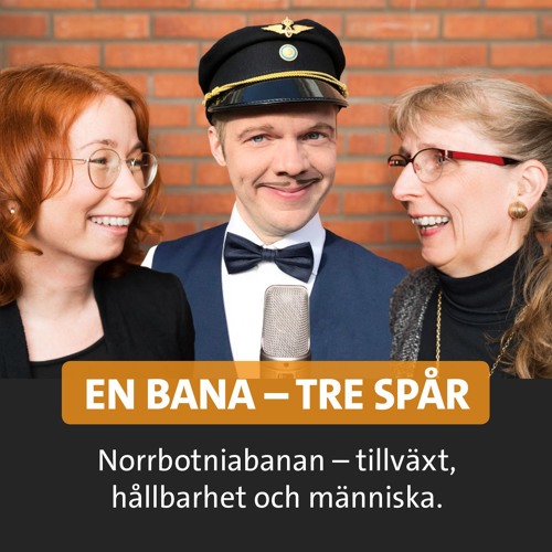 En bana - tre spår | #9:2 Umeå-Skellefteå by ...
