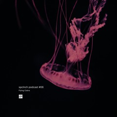 spclnch podcast #06 / Flying Cobra