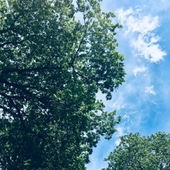 Lost In The Right Direction