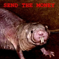 GOTTA SERVE MOLES (SYBYR REMIX)