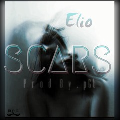 SCARS(Prod by pGb)
