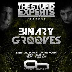 The Stupid Experts - Binary Grooves 016