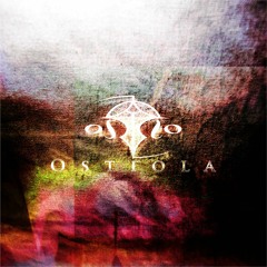 Everyone, Go One's Nest!