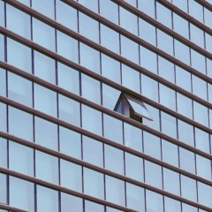 Hope Through My Open Window (Vocals)