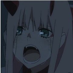 Dakooters - Doki Doki