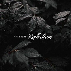 Before They Wither | Ambient Reflections