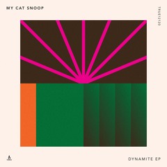 My Cat Snoop — Can You Feel It — Truesoul — TRUE12120