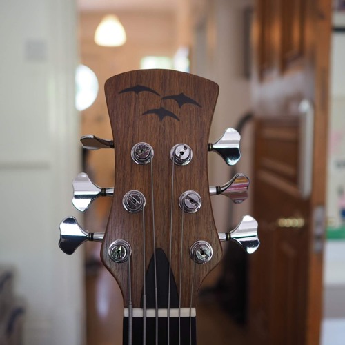 AJR 6 String Fretless Samples