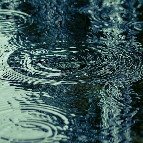 Rain of Anarchy