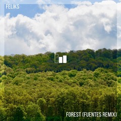 Feliks - Forest (Fuentes 'Smoke Signals' Remix)
