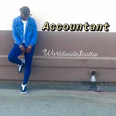 Accountant