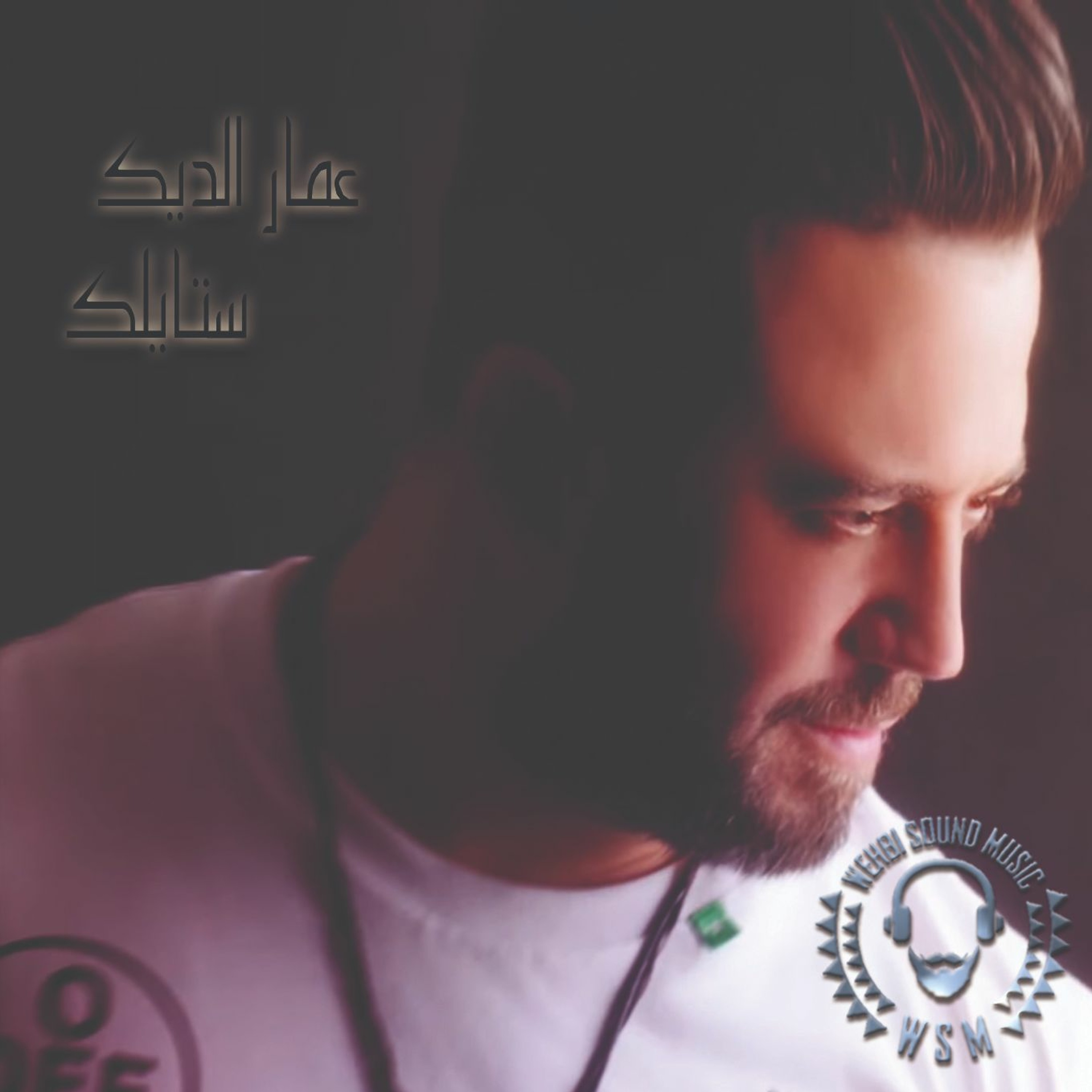 WSM WEHBI SOUND MUSIC