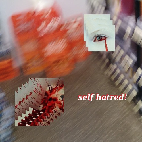 self hatred! (prod. irby)