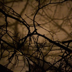 sound track to 'Einmal ist Keinmal' (2019), sound installation @ Zwitschermaschine 07.11.2019