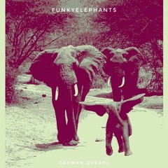 FunkyElephant