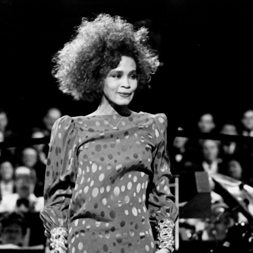 Whitney Houston  - I Wanna Dance With Somebody (Stefan Biniak Summer  Edit)