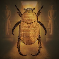 SCARAB