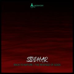 Siddhar - The Revenge Of Gods