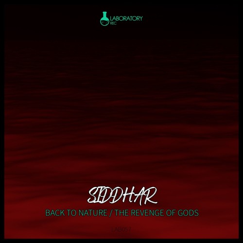 Siddhar - Back To Nature