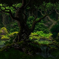 Live Shiri Forest 11-06-19 145bpm