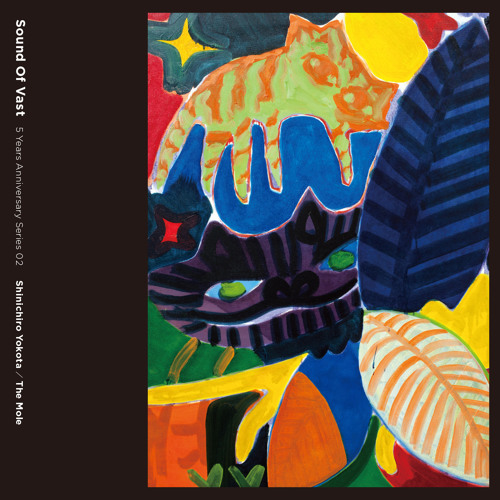 PREMIERE: Shinichiro Yokota - I Know You Like It [Sound of vast]