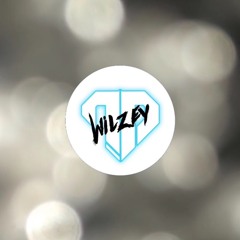 Wilzey - Back on the Scene