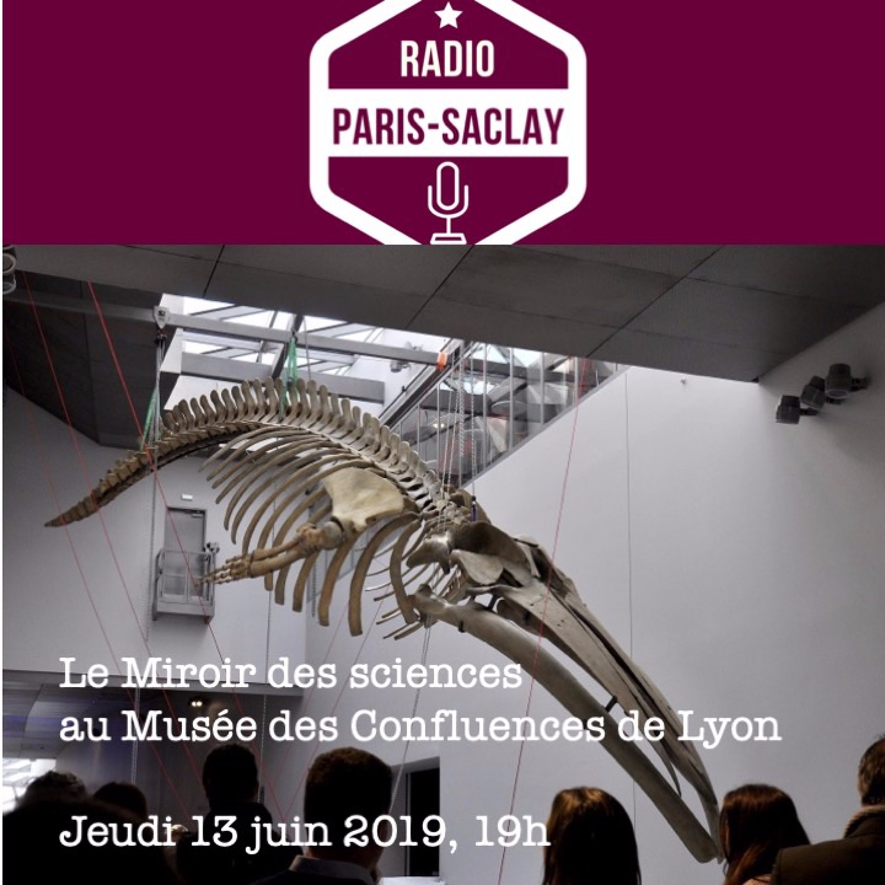 Le Miroir des sciences
