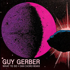 Guy Gerber - What to do (Dim Chord Remix)
