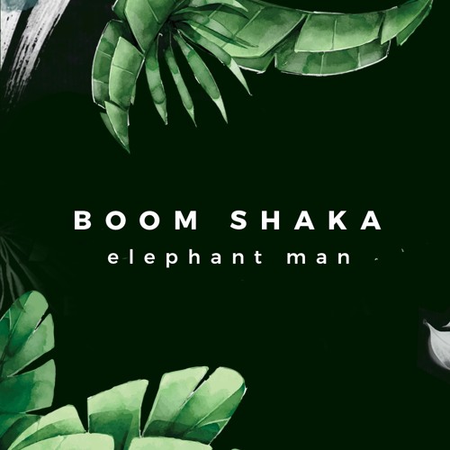 BOOM SHAKA (Elephant Man & Rmx)