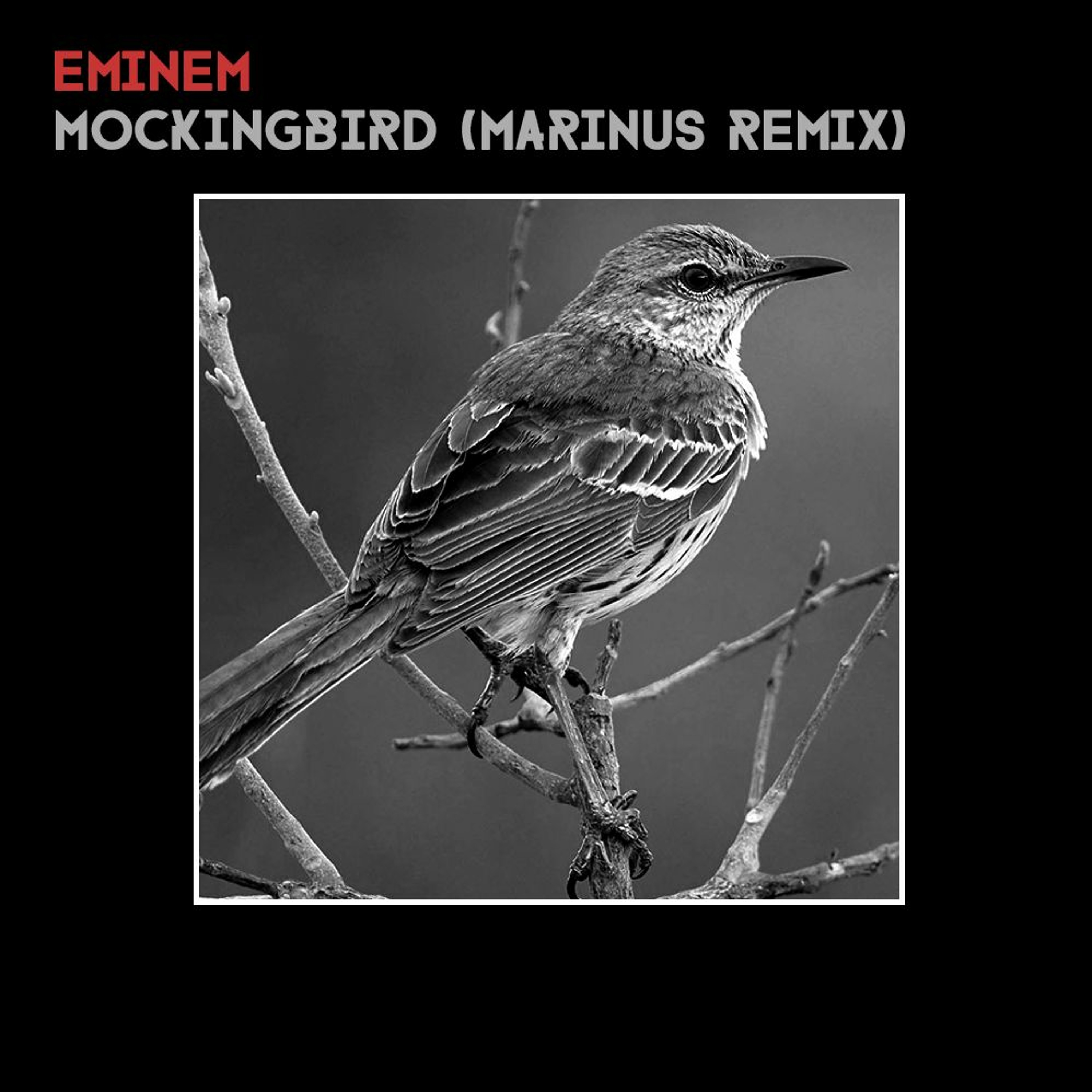 Marinus Productions