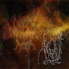 Rapala700 & Nahshi - Talus