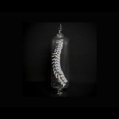 [FREE] G Eazy type beat | Free Type Beat | "No Spine" (free download)